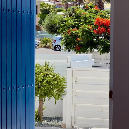 Olive & Sage 3br Walking Distance To Protaras And Pool Lejlighed Paralimni